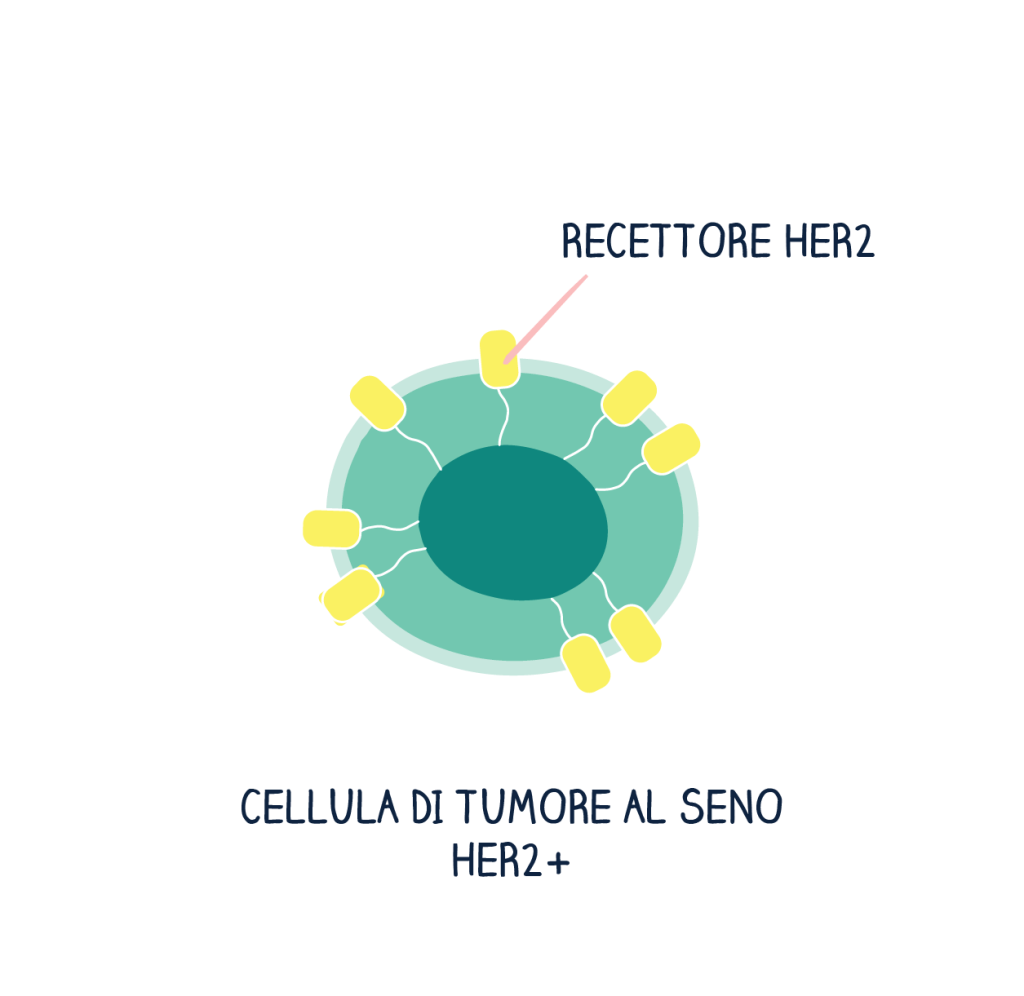 immagine di una cellula di tumore al seno HER2+